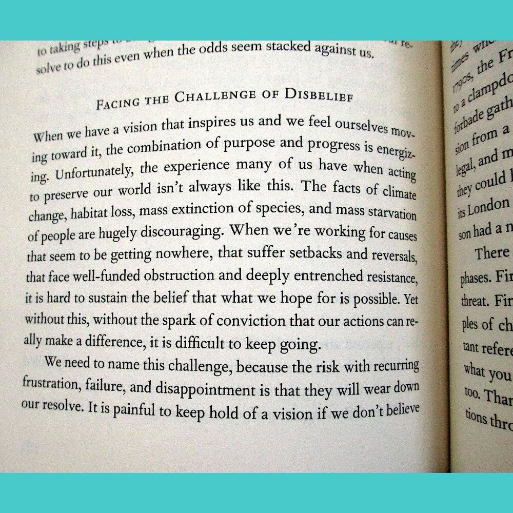 Book - Active Hope: How to Face the Mess We're in Without Going Crazy - Picture 11 of 16